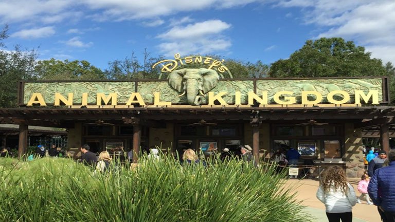 Animal Kingdom